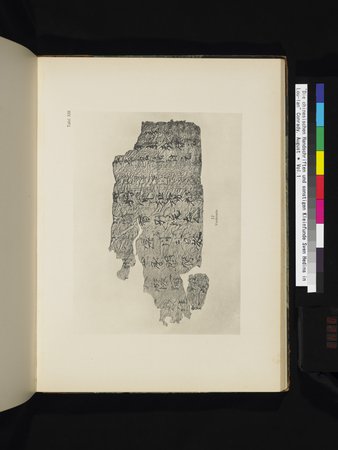 Die Chinesischen Handschriften- und sonstigen Kleinfunde Sven Hedins in Lou-lan : vol.1 : Page 243
