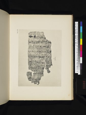 Die Chinesischen Handschriften- und sonstigen Kleinfunde Sven Hedins in Lou-lan : vol.1 : Page 245