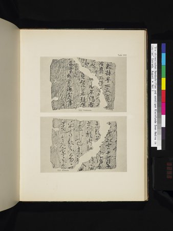 Die Chinesischen Handschriften- und sonstigen Kleinfunde Sven Hedins in Lou-lan : vol.1 : Page 249
