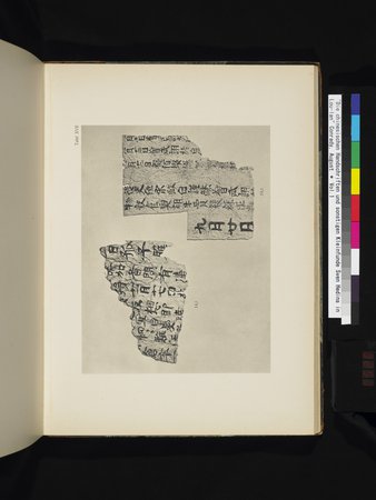 Die Chinesischen Handschriften- und sonstigen Kleinfunde Sven Hedins in Lou-lan : vol.1 : Page 251