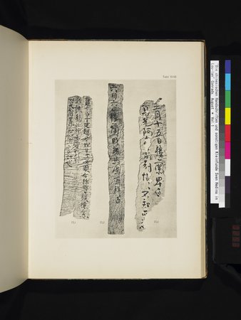 Die Chinesischen Handschriften- und sonstigen Kleinfunde Sven Hedins in Lou-lan : vol.1 : Page 253