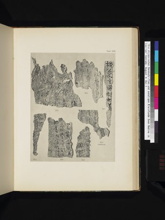 Die Chinesischen Handschriften- und sonstigen Kleinfunde Sven Hedins in Lou-lan : vol.1 : Page 261
