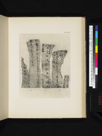 Die Chinesischen Handschriften- und sonstigen Kleinfunde Sven Hedins in Lou-lan : vol.1 : Page 263