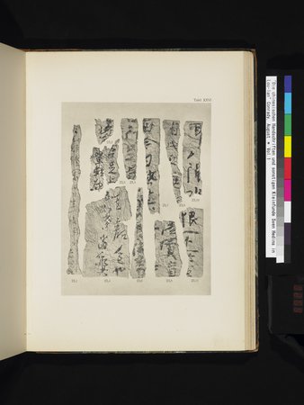 Die Chinesischen Handschriften- und sonstigen Kleinfunde Sven Hedins in Lou-lan : vol.1 : Page 269