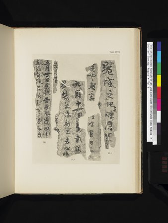 Die Chinesischen Handschriften- und sonstigen Kleinfunde Sven Hedins in Lou-lan : vol.1 : Page 271