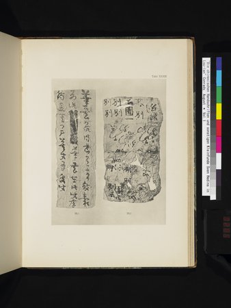Die Chinesischen Handschriften- und sonstigen Kleinfunde Sven Hedins in Lou-lan : vol.1 : Page 285