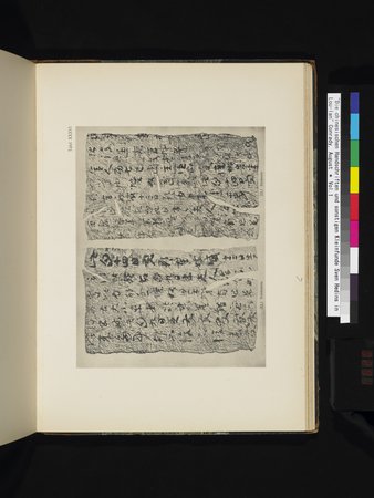 Die Chinesischen Handschriften- und sonstigen Kleinfunde Sven Hedins in Lou-lan : vol.1 : Page 291
