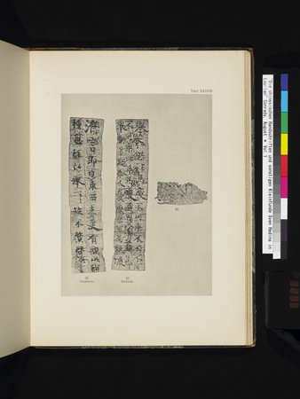 Die Chinesischen Handschriften- und sonstigen Kleinfunde Sven Hedins in Lou-lan : vol.1 : Page 295