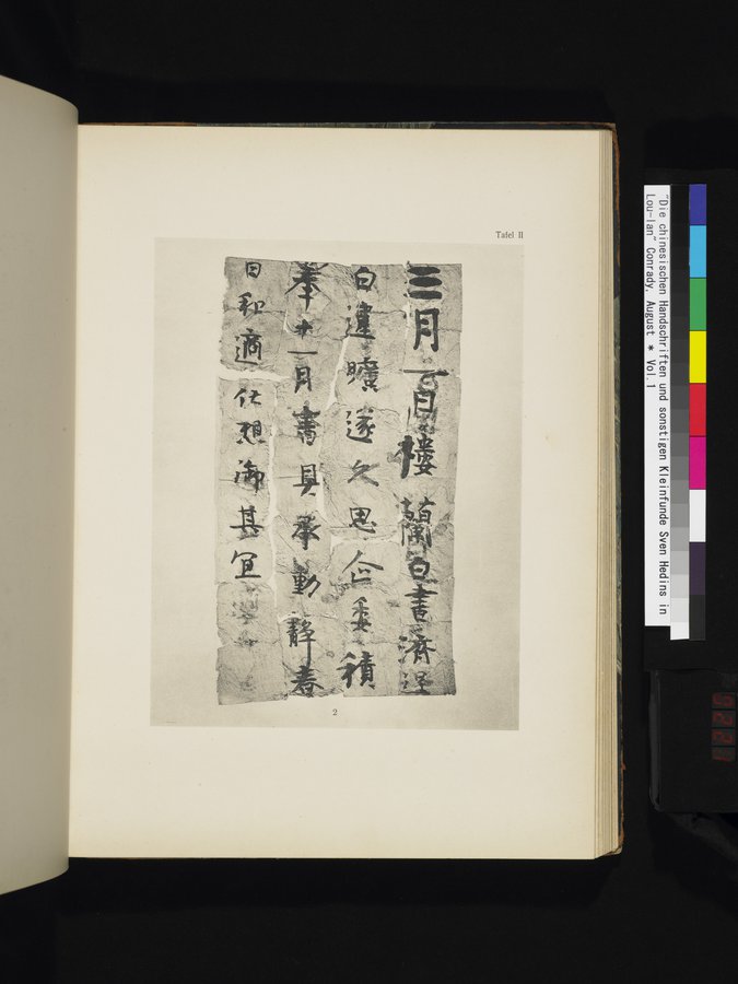 Die Chinesischen Handschriften- und sonstigen Kleinfunde Sven Hedins in Lou-lan : vol.1 / 221 ページ（カラー画像）