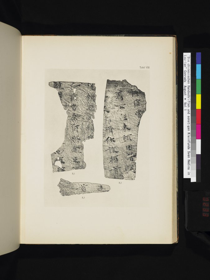 Die Chinesischen Handschriften- und sonstigen Kleinfunde Sven Hedins in Lou-lan : vol.1 / 233 ページ（カラー画像）