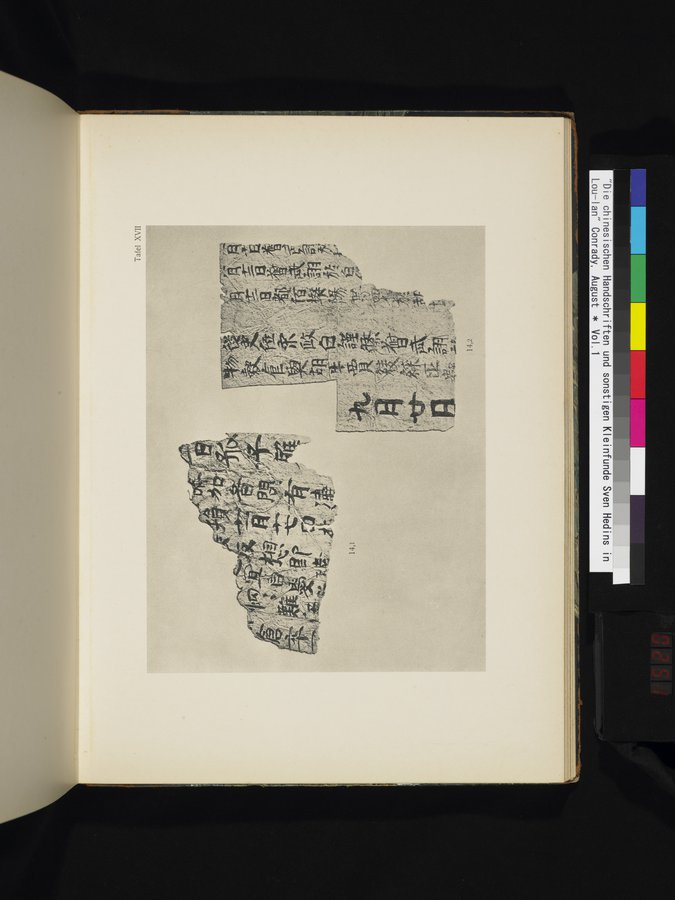 Die Chinesischen Handschriften- und sonstigen Kleinfunde Sven Hedins in Lou-lan : vol.1 / Page 251 (Color Image)