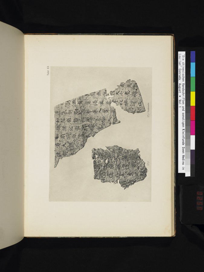 Die Chinesischen Handschriften- und sonstigen Kleinfunde Sven Hedins in Lou-lan : vol.1 / 257 ページ（カラー画像）