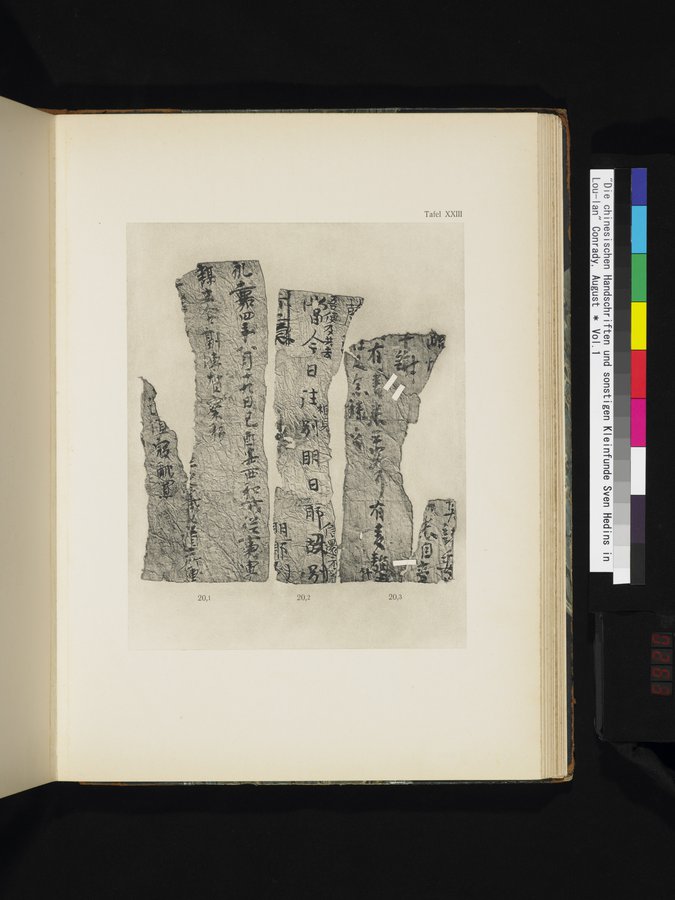 Die Chinesischen Handschriften- und sonstigen Kleinfunde Sven Hedins in Lou-lan : vol.1 / Page 263 (Color Image)