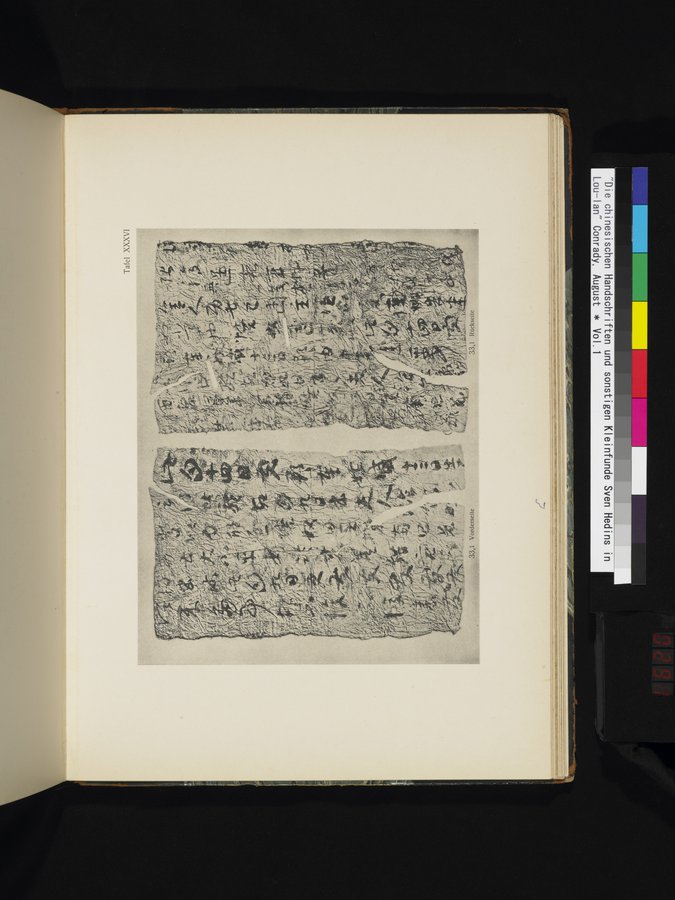 Die Chinesischen Handschriften- und sonstigen Kleinfunde Sven Hedins in Lou-lan : vol.1 / Page 291 (Color Image)