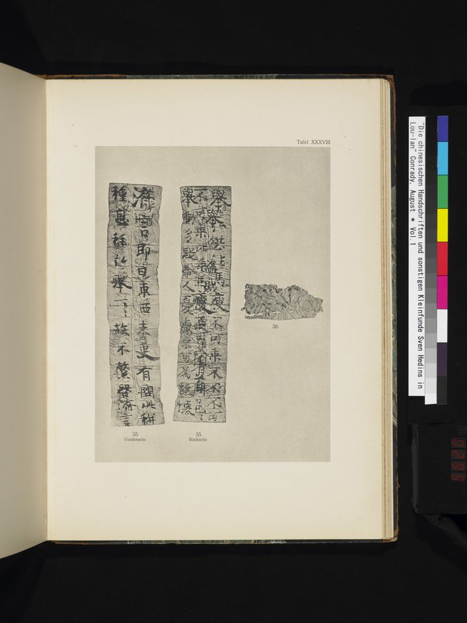 Die Chinesischen Handschriften- und sonstigen Kleinfunde Sven Hedins in Lou-lan : vol.1 / 295 ページ（カラー画像）