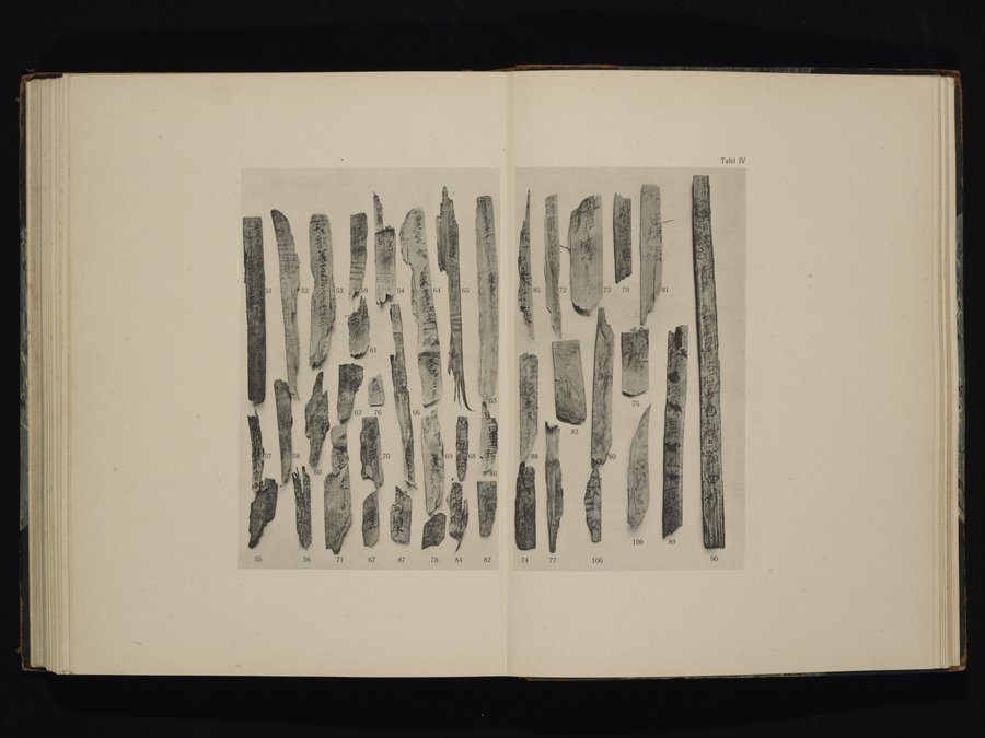 Die Chinesischen Handschriften- und sonstigen Kleinfunde Sven Hedins in Lou-lan : vol.1 / Page 302 (Color Image)