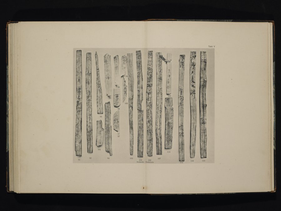 Die Chinesischen Handschriften- und sonstigen Kleinfunde Sven Hedins in Lou-lan : vol.1 / Page 303 (Color Image)
