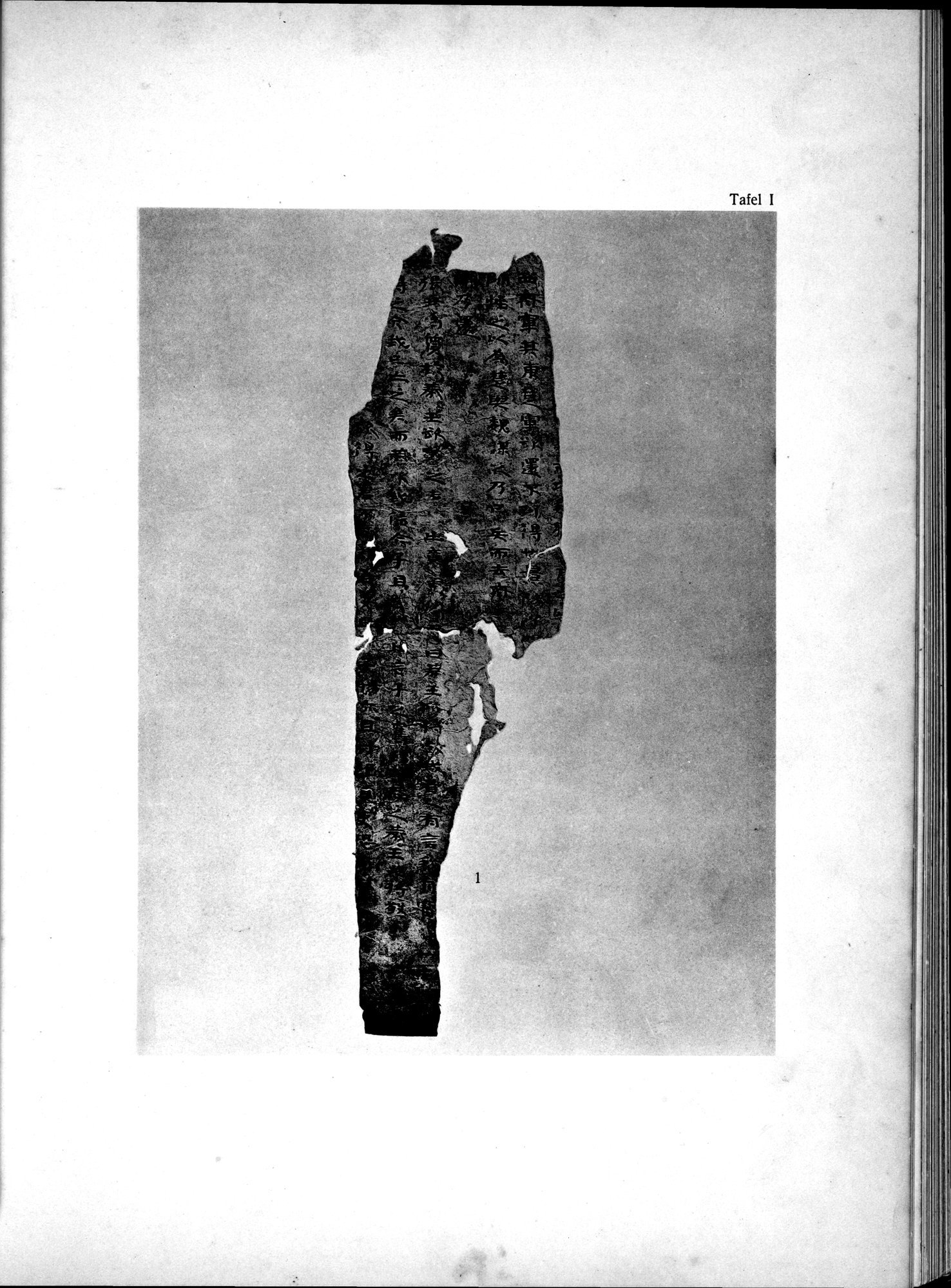 Die Chinesischen Handschriften- und sonstigen Kleinfunde Sven Hedins in Lou-lan : vol.1 / 219 ページ（白黒高解像度画像）