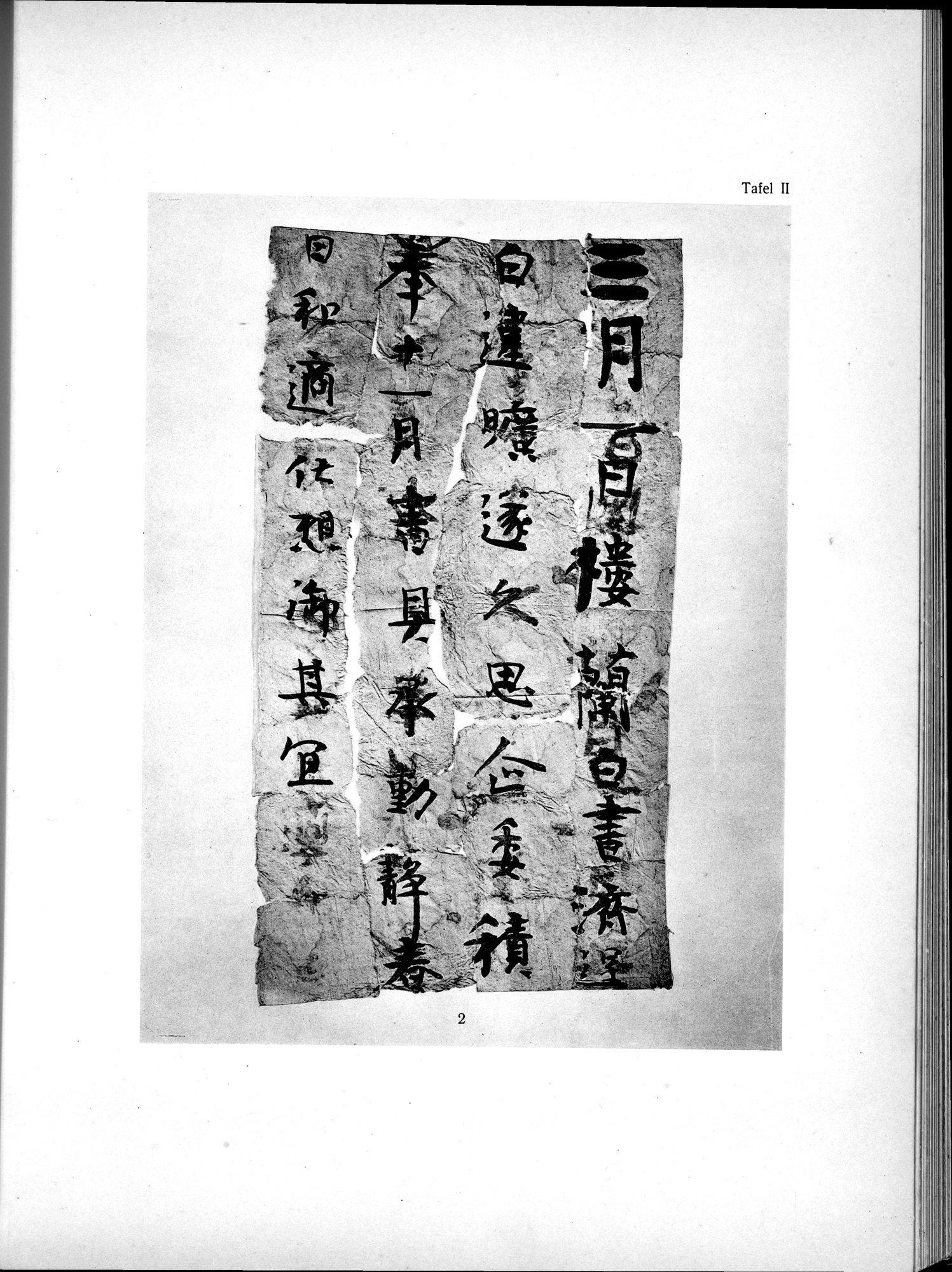 Die Chinesischen Handschriften- und sonstigen Kleinfunde Sven Hedins in Lou-lan : vol.1 / 221 ページ（白黒高解像度画像）