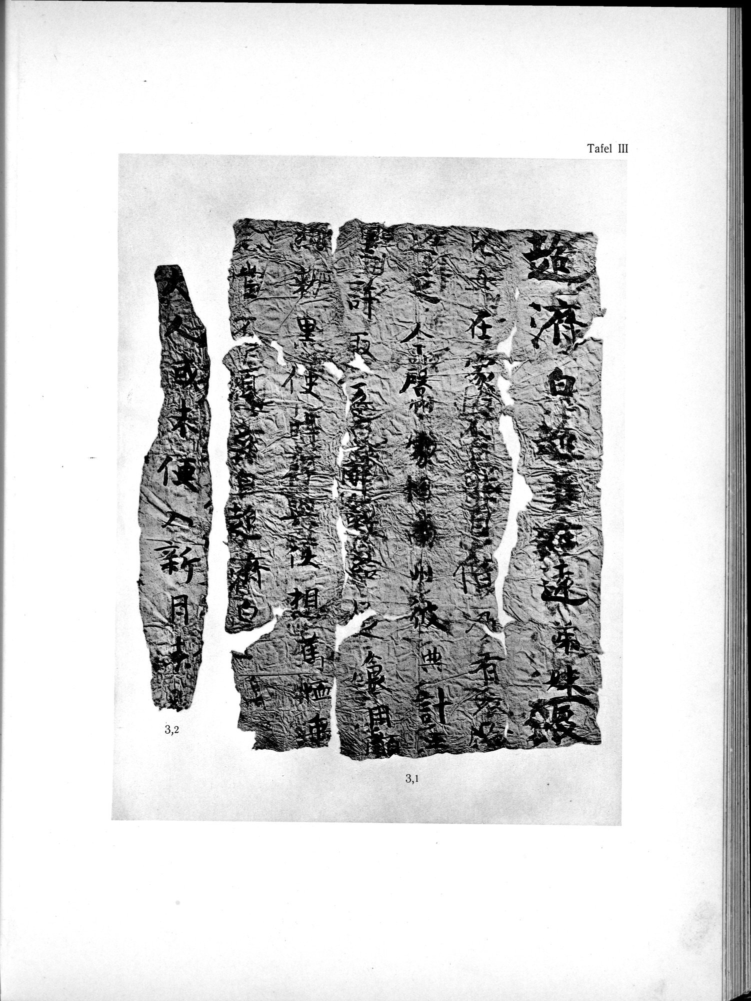 Die Chinesischen Handschriften- und sonstigen Kleinfunde Sven Hedins in Lou-lan : vol.1 / 223 ページ（白黒高解像度画像）
