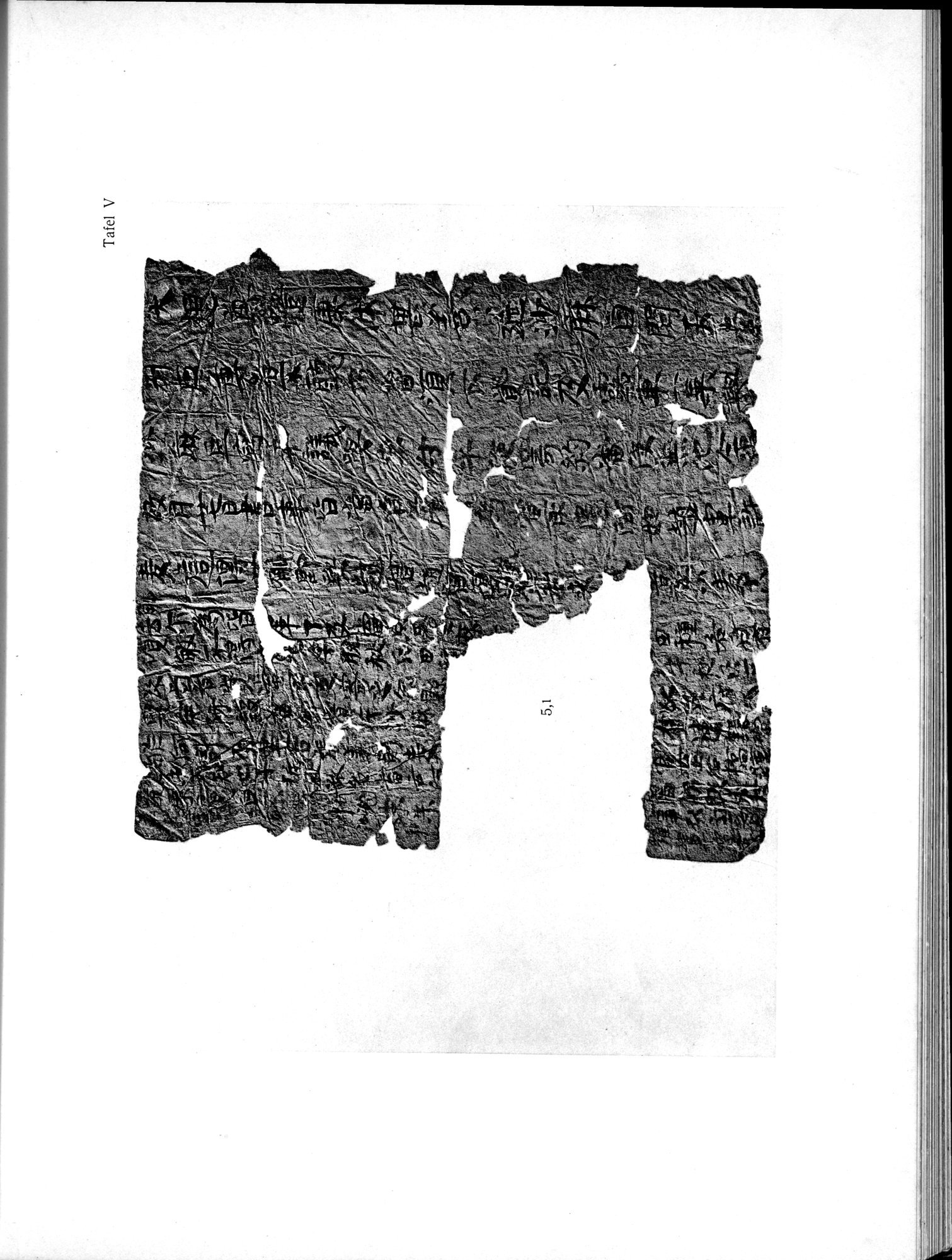 Die Chinesischen Handschriften- und sonstigen Kleinfunde Sven Hedins in Lou-lan : vol.1 / 227 ページ（白黒高解像度画像）