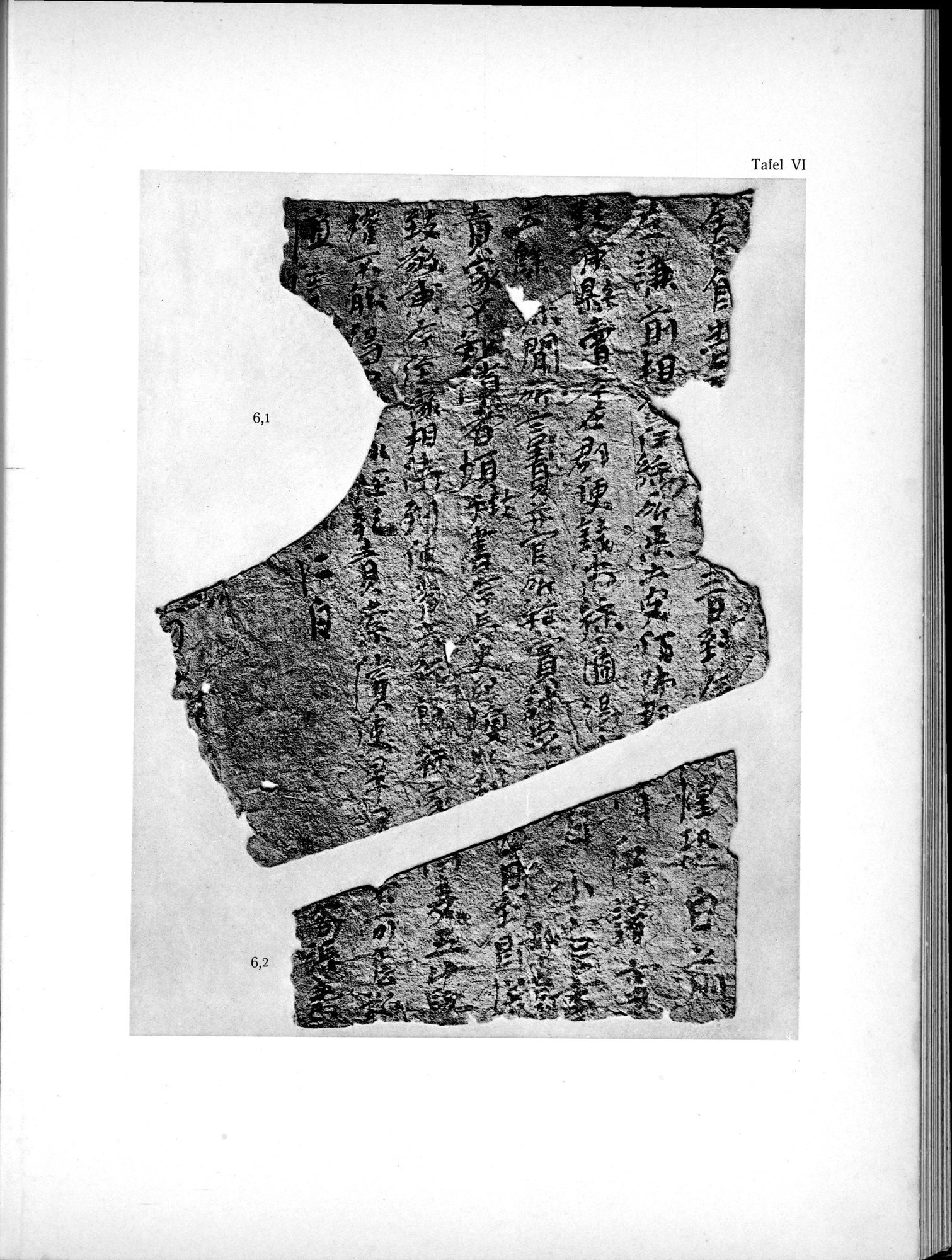Die Chinesischen Handschriften- und sonstigen Kleinfunde Sven Hedins in Lou-lan : vol.1 / 229 ページ（白黒高解像度画像）
