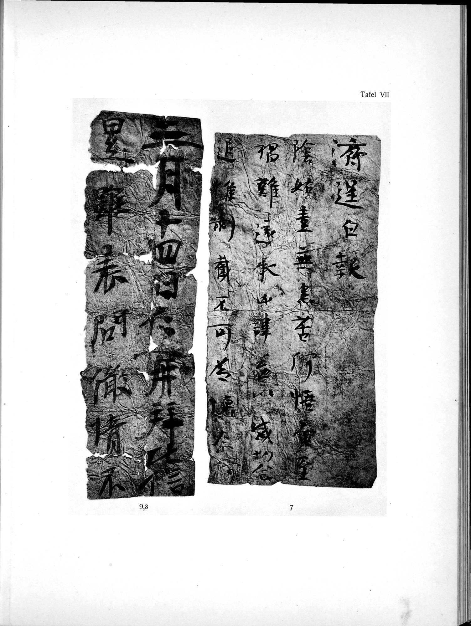 Die Chinesischen Handschriften- und sonstigen Kleinfunde Sven Hedins in Lou-lan : vol.1 / Page 231 (Grayscale High Resolution Image)