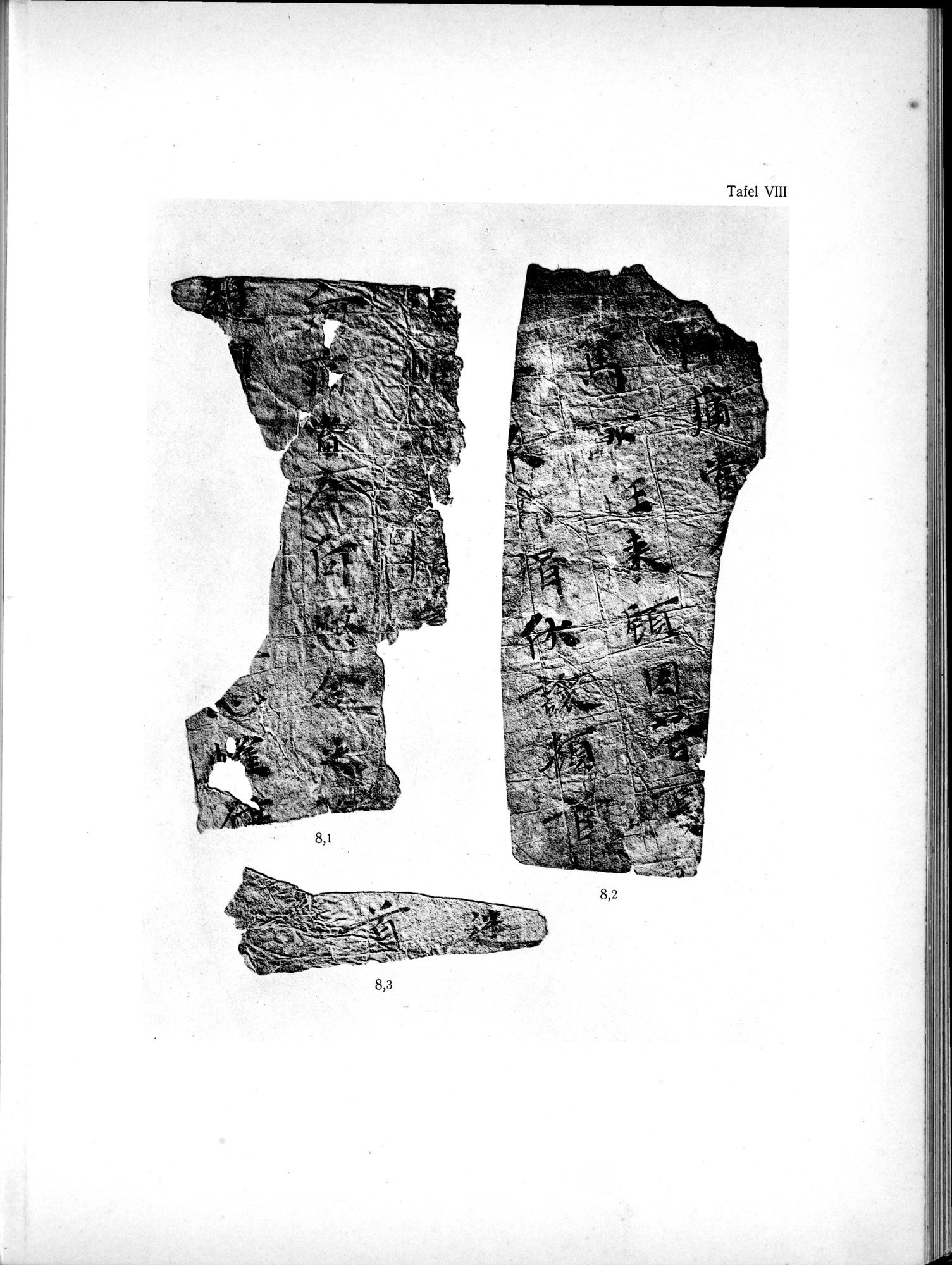Die Chinesischen Handschriften- und sonstigen Kleinfunde Sven Hedins in Lou-lan : vol.1 / Page 233 (Grayscale High Resolution Image)