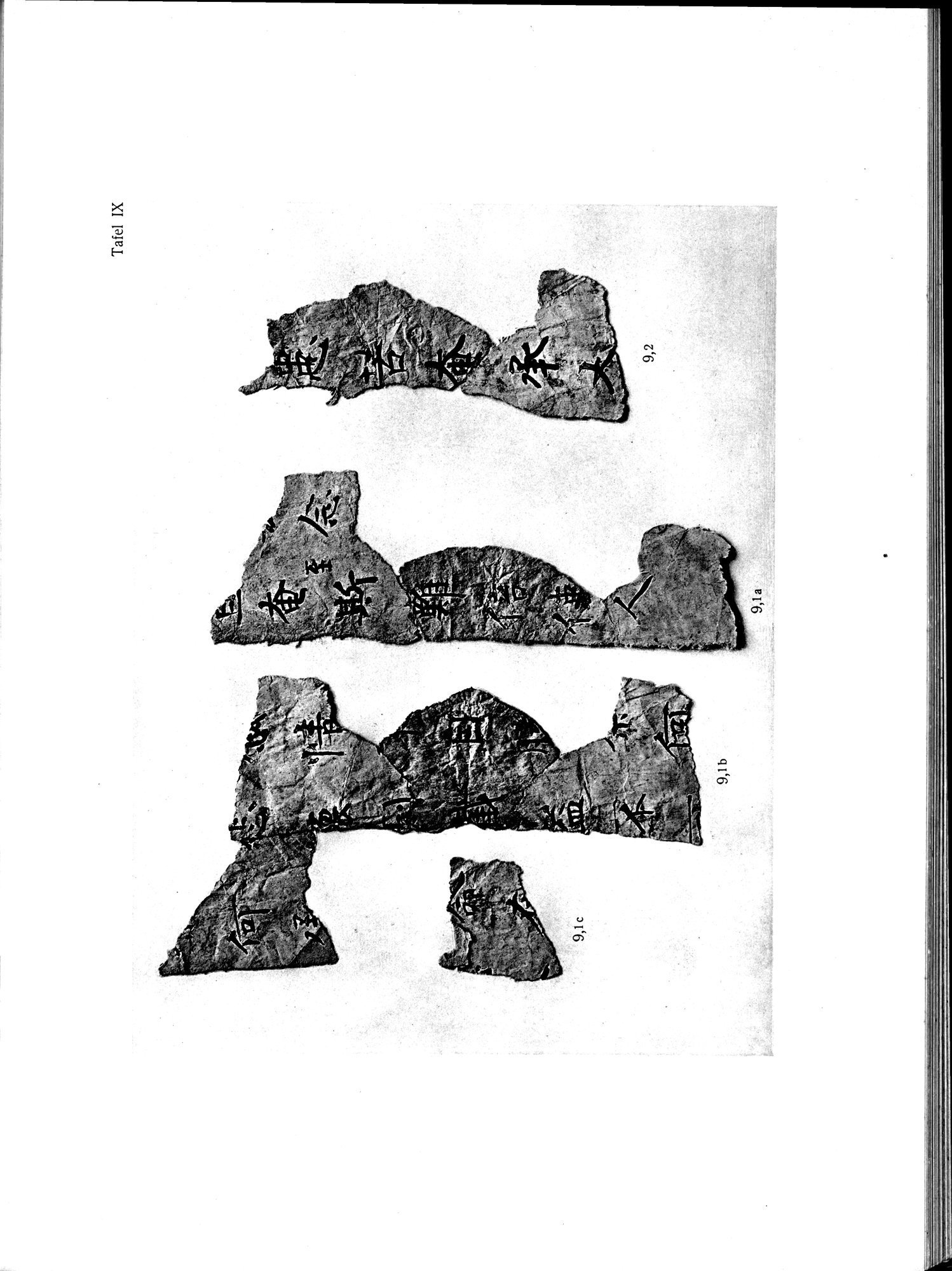 Die Chinesischen Handschriften- und sonstigen Kleinfunde Sven Hedins in Lou-lan : vol.1 / 235 ページ（白黒高解像度画像）