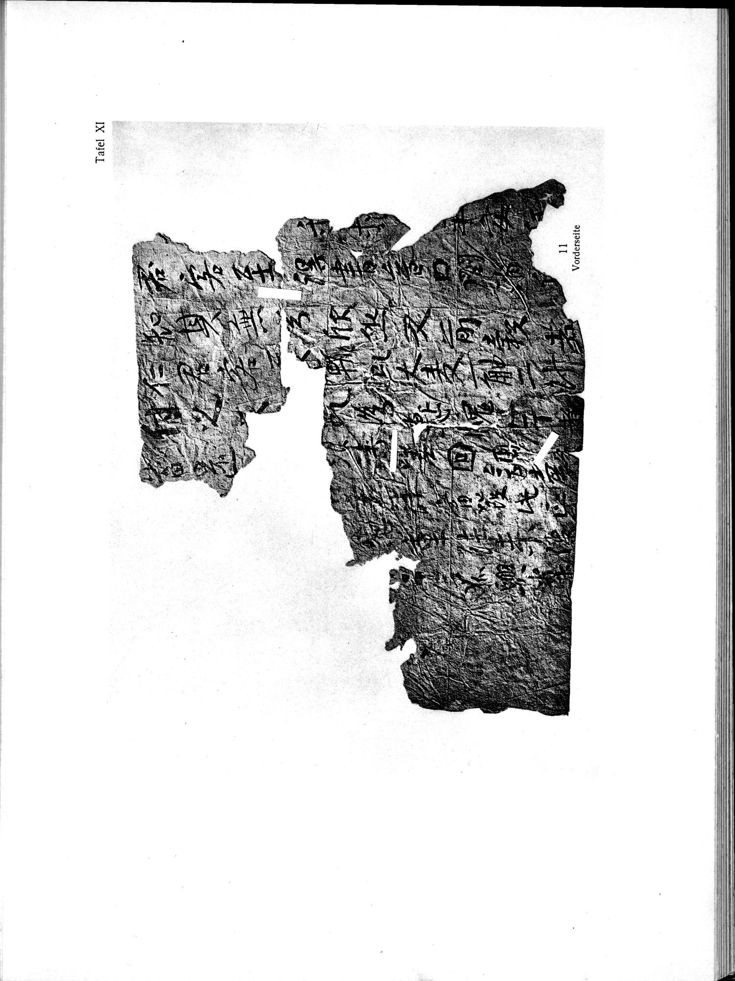 Die Chinesischen Handschriften- und sonstigen Kleinfunde Sven Hedins in Lou-lan : vol.1 / 239 ページ（白黒高解像度画像）