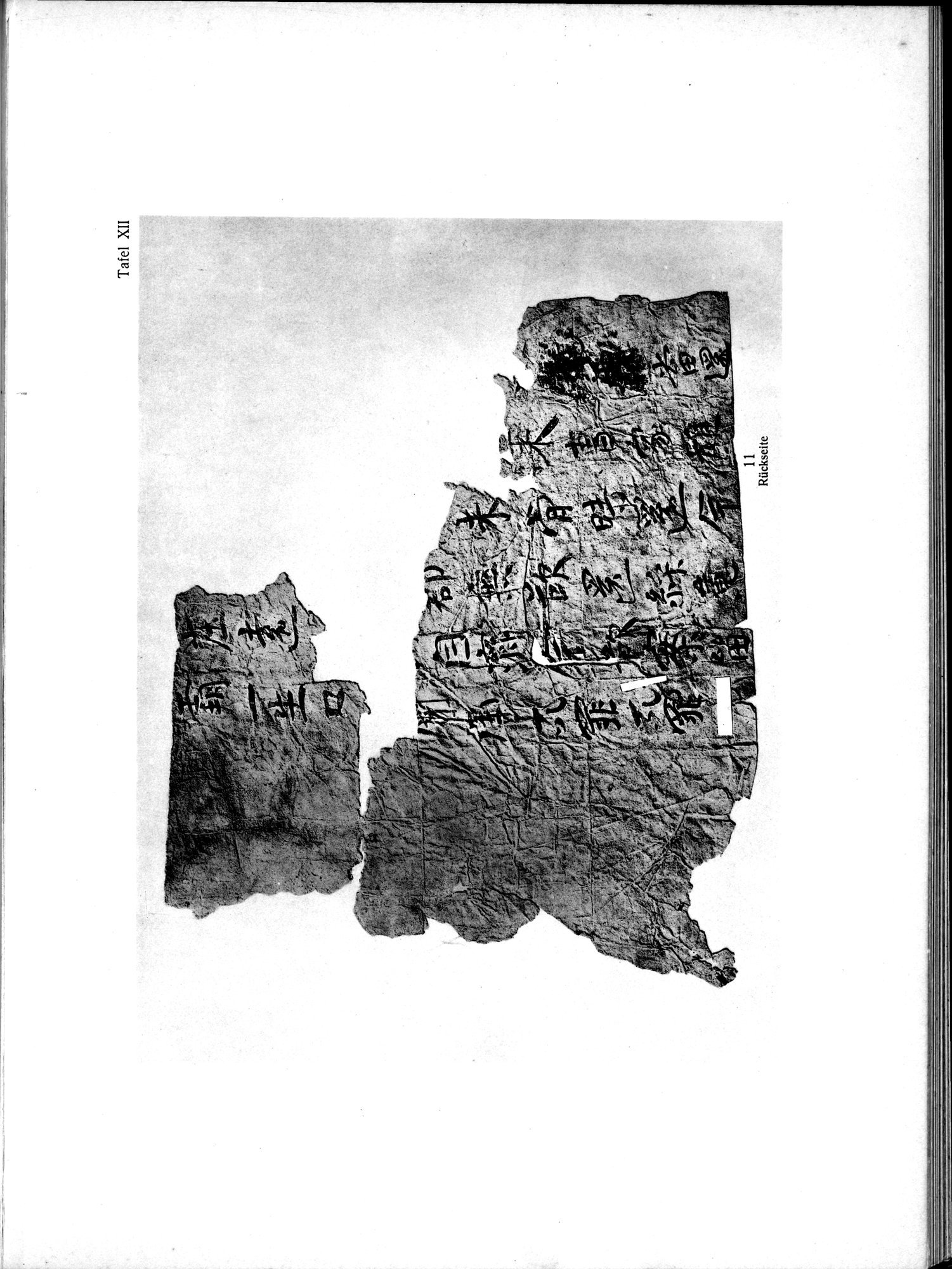 Die Chinesischen Handschriften- und sonstigen Kleinfunde Sven Hedins in Lou-lan : vol.1 / 241 ページ（白黒高解像度画像）