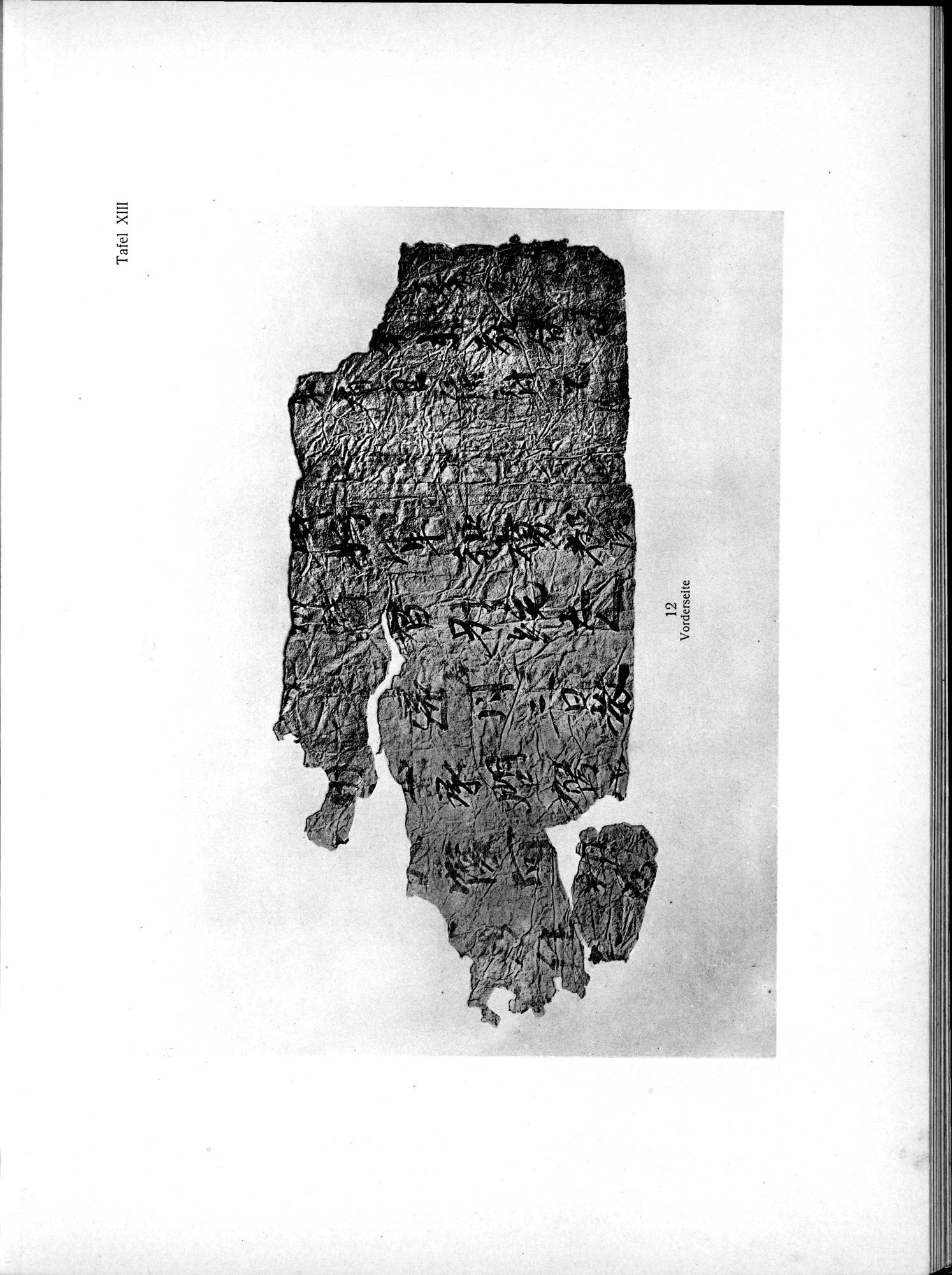 Die Chinesischen Handschriften- und sonstigen Kleinfunde Sven Hedins in Lou-lan : vol.1 / 243 ページ（白黒高解像度画像）