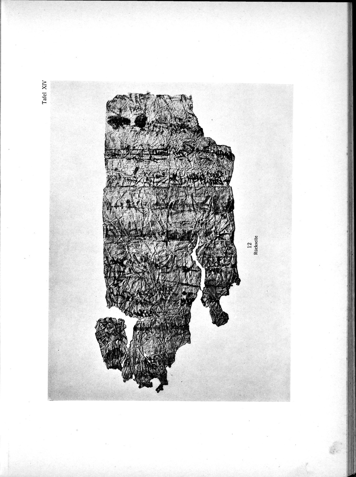 Die Chinesischen Handschriften- und sonstigen Kleinfunde Sven Hedins in Lou-lan : vol.1 / Page 245 (Grayscale High Resolution Image)