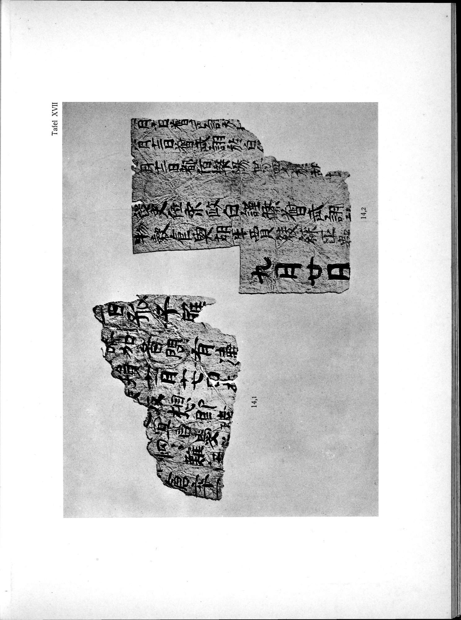 Die Chinesischen Handschriften- und sonstigen Kleinfunde Sven Hedins in Lou-lan : vol.1 / 251 ページ（白黒高解像度画像）