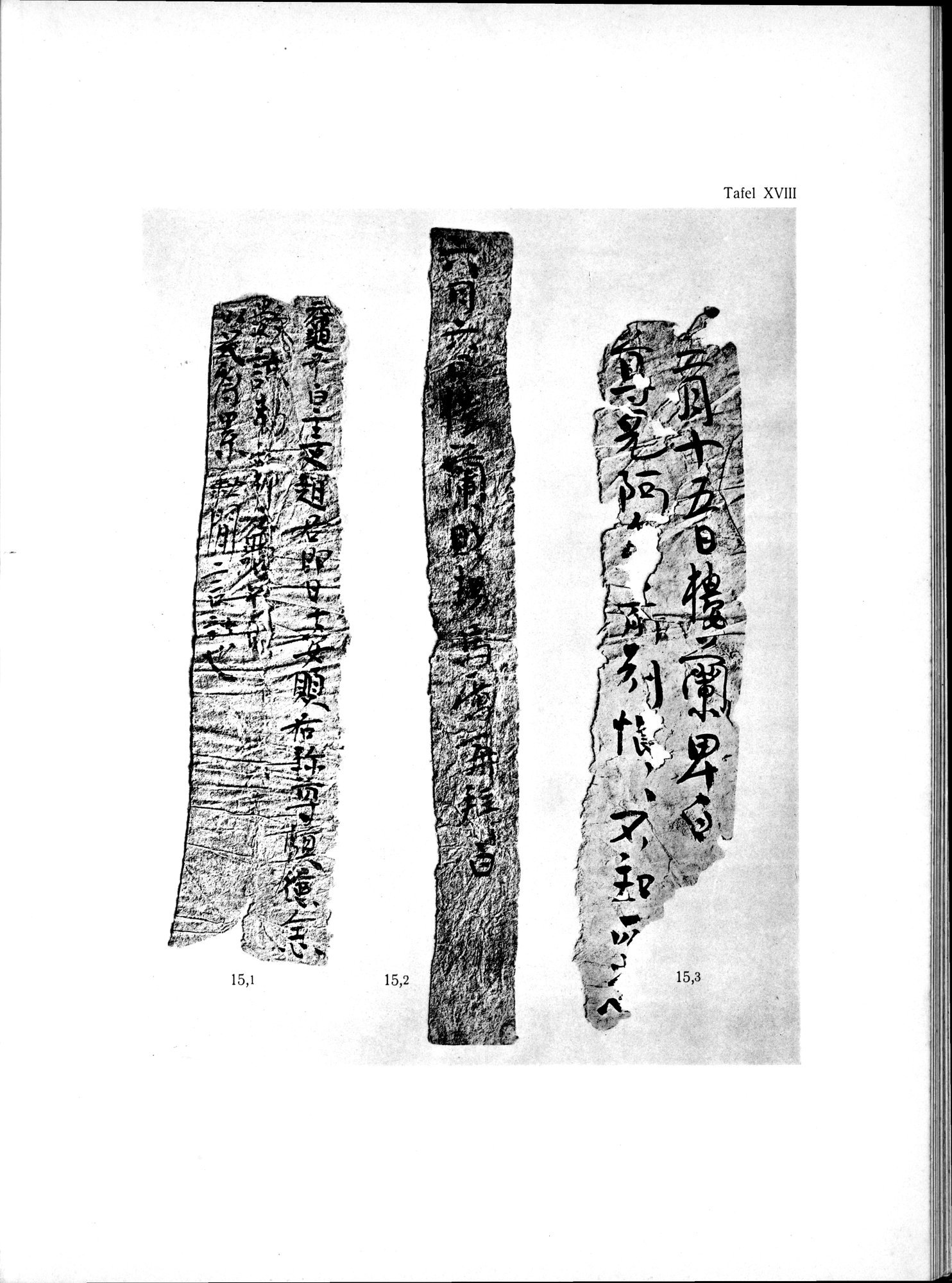 Die Chinesischen Handschriften- und sonstigen Kleinfunde Sven Hedins in Lou-lan : vol.1 / Page 253 (Grayscale High Resolution Image)