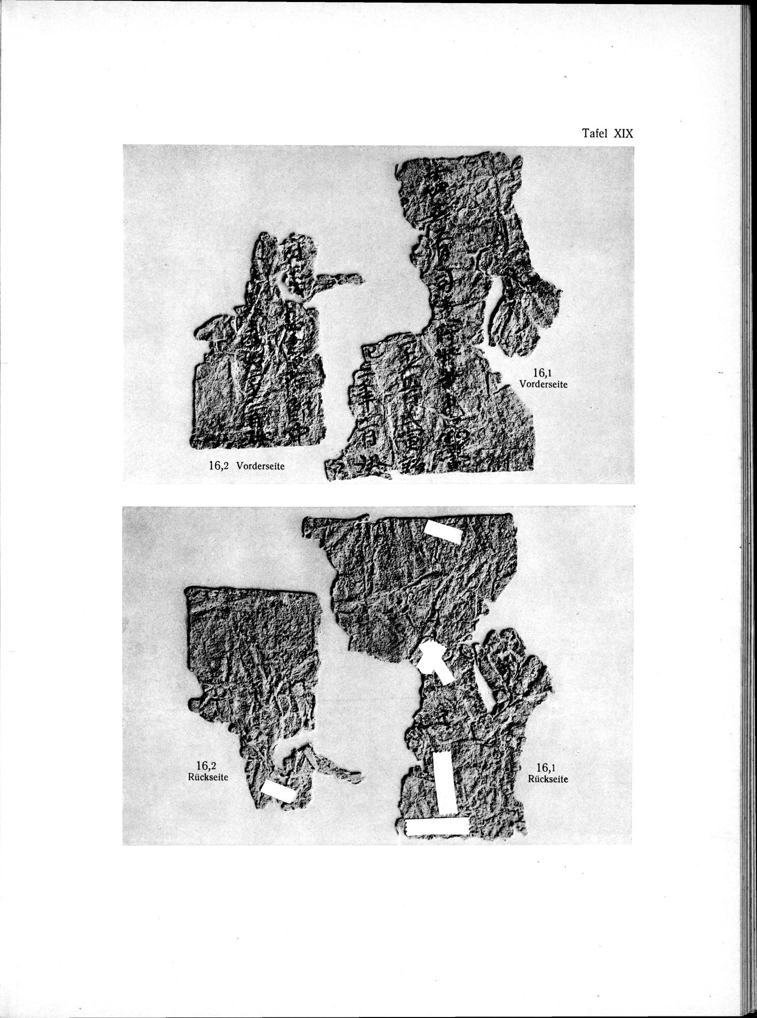 Die Chinesischen Handschriften- und sonstigen Kleinfunde Sven Hedins in Lou-lan : vol.1 / 255 ページ（白黒高解像度画像）