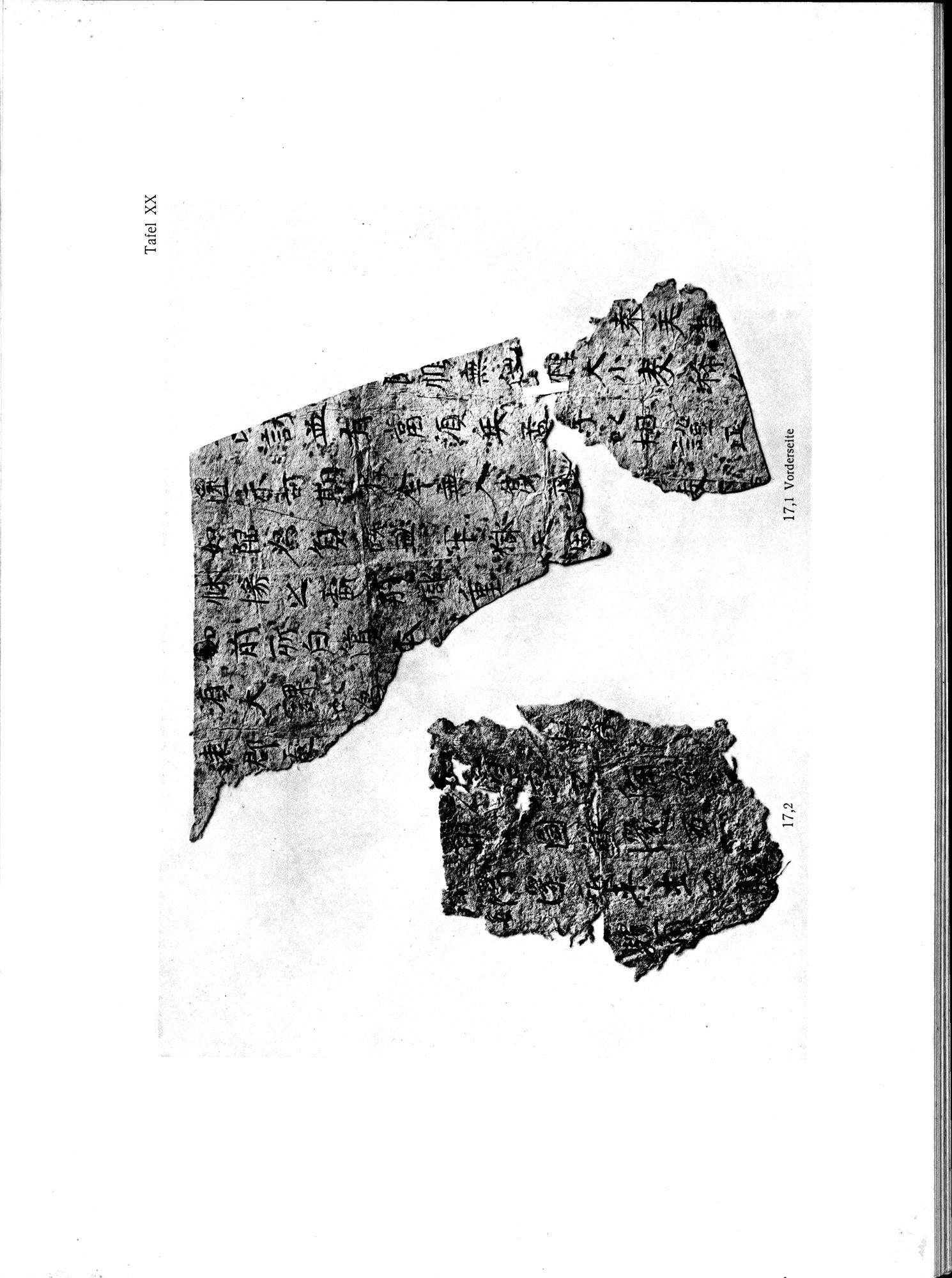 Die Chinesischen Handschriften- und sonstigen Kleinfunde Sven Hedins in Lou-lan : vol.1 / 257 ページ（白黒高解像度画像）