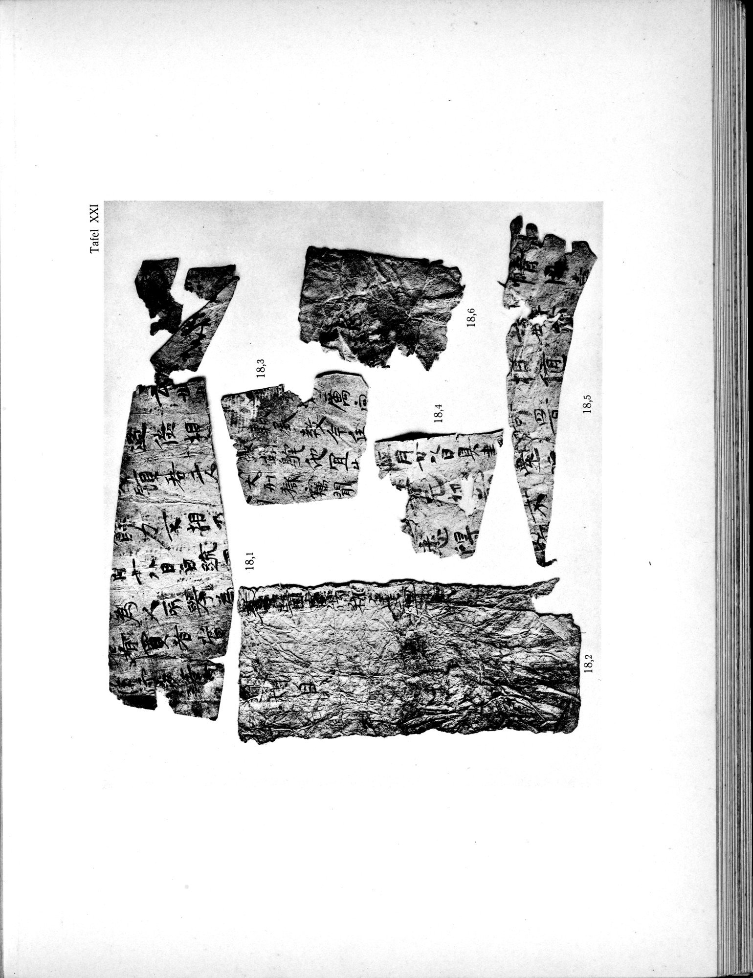 Die Chinesischen Handschriften- und sonstigen Kleinfunde Sven Hedins in Lou-lan : vol.1 / Page 259 (Grayscale High Resolution Image)