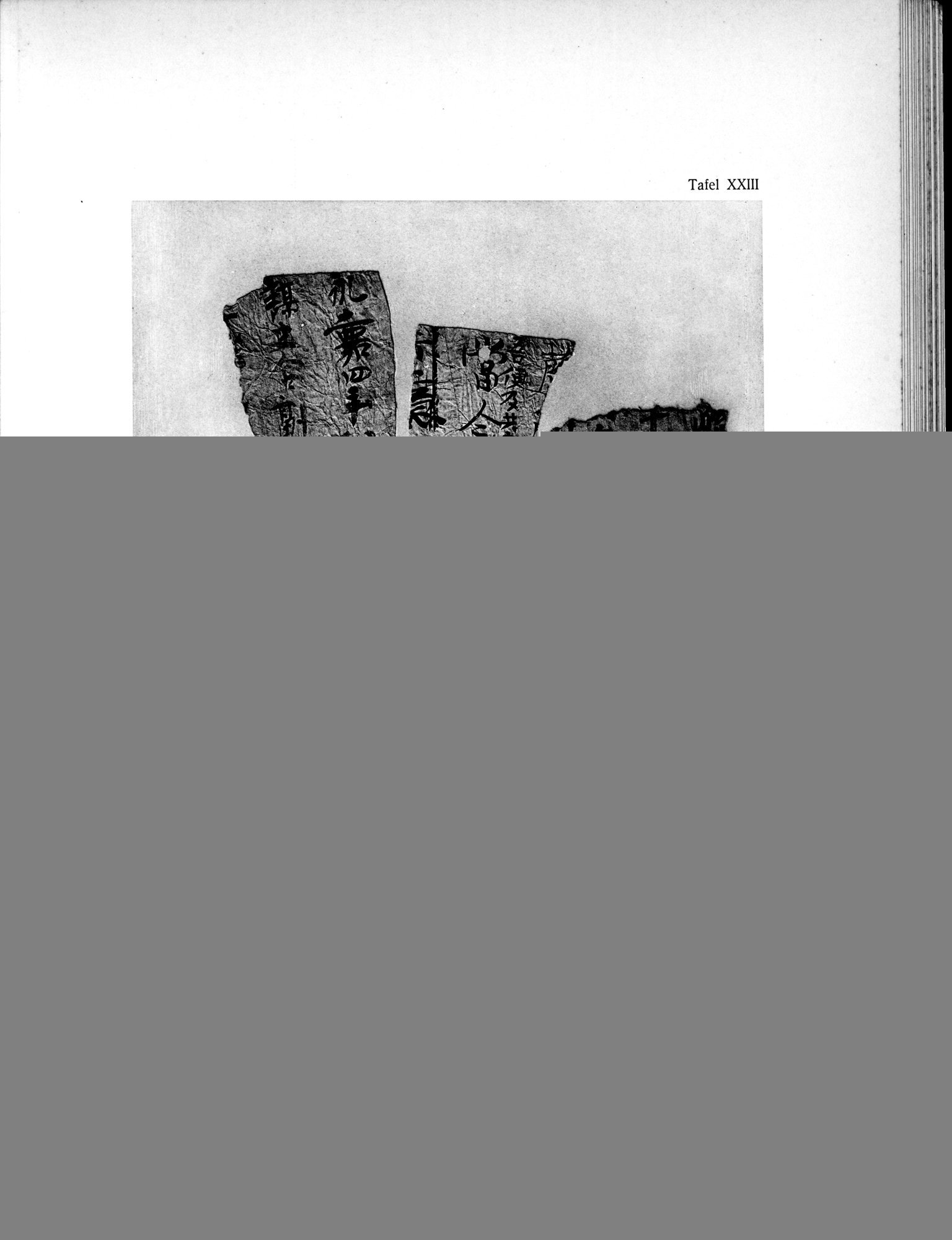 Die Chinesischen Handschriften- und sonstigen Kleinfunde Sven Hedins in Lou-lan : vol.1 / 263 ページ（白黒高解像度画像）