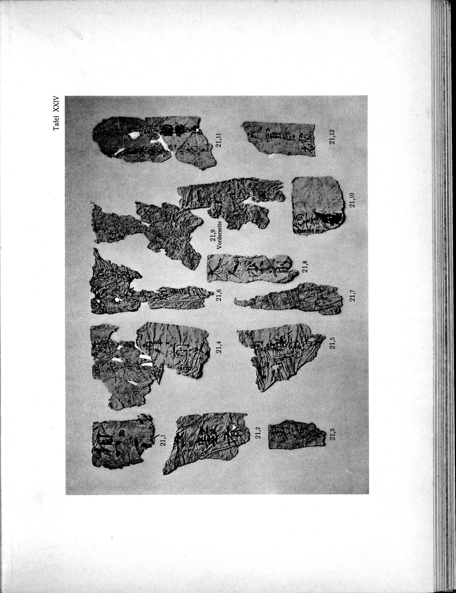 Die Chinesischen Handschriften- und sonstigen Kleinfunde Sven Hedins in Lou-lan : vol.1 / 265 ページ（白黒高解像度画像）