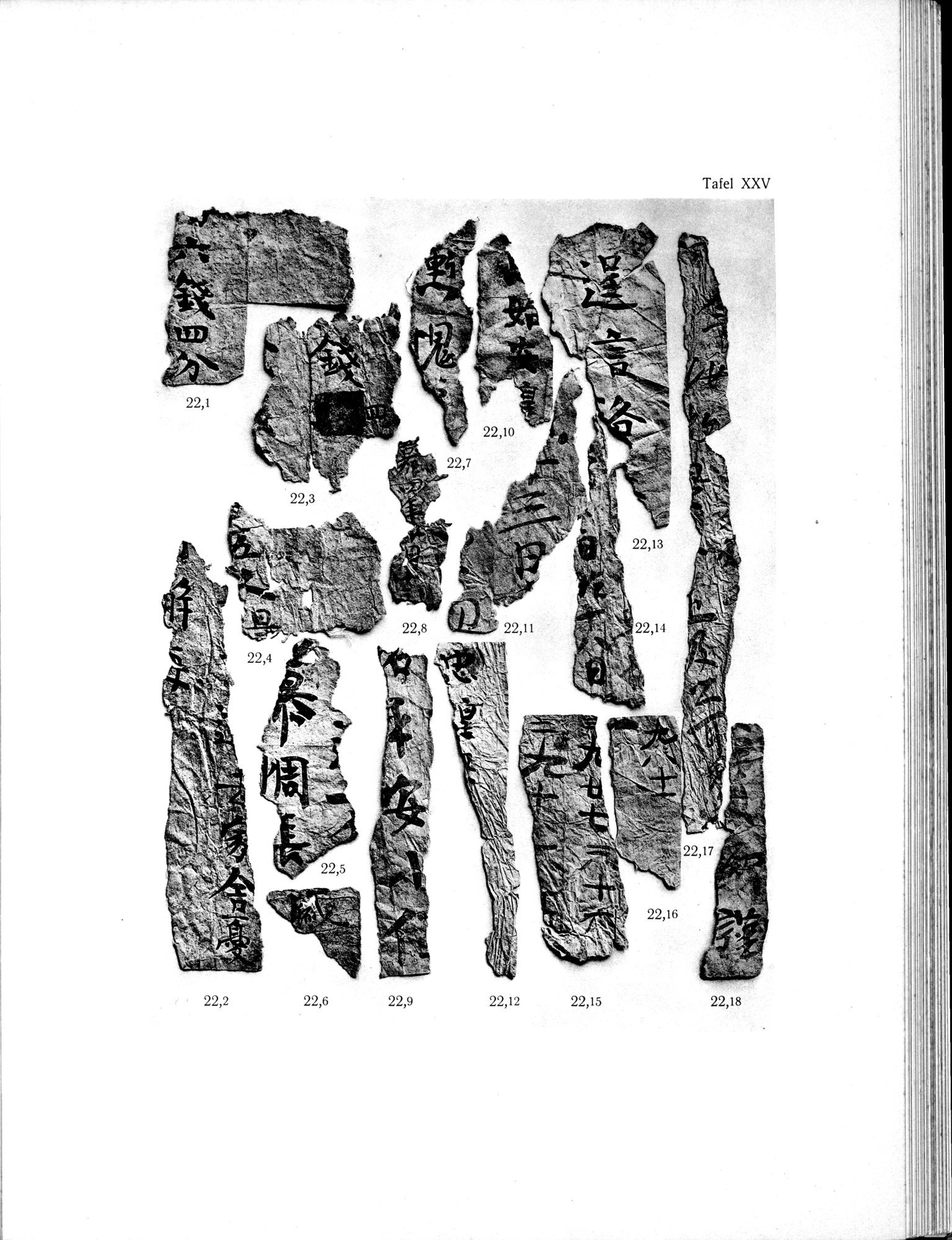 Die Chinesischen Handschriften- und sonstigen Kleinfunde Sven Hedins in Lou-lan : vol.1 / 267 ページ（白黒高解像度画像）