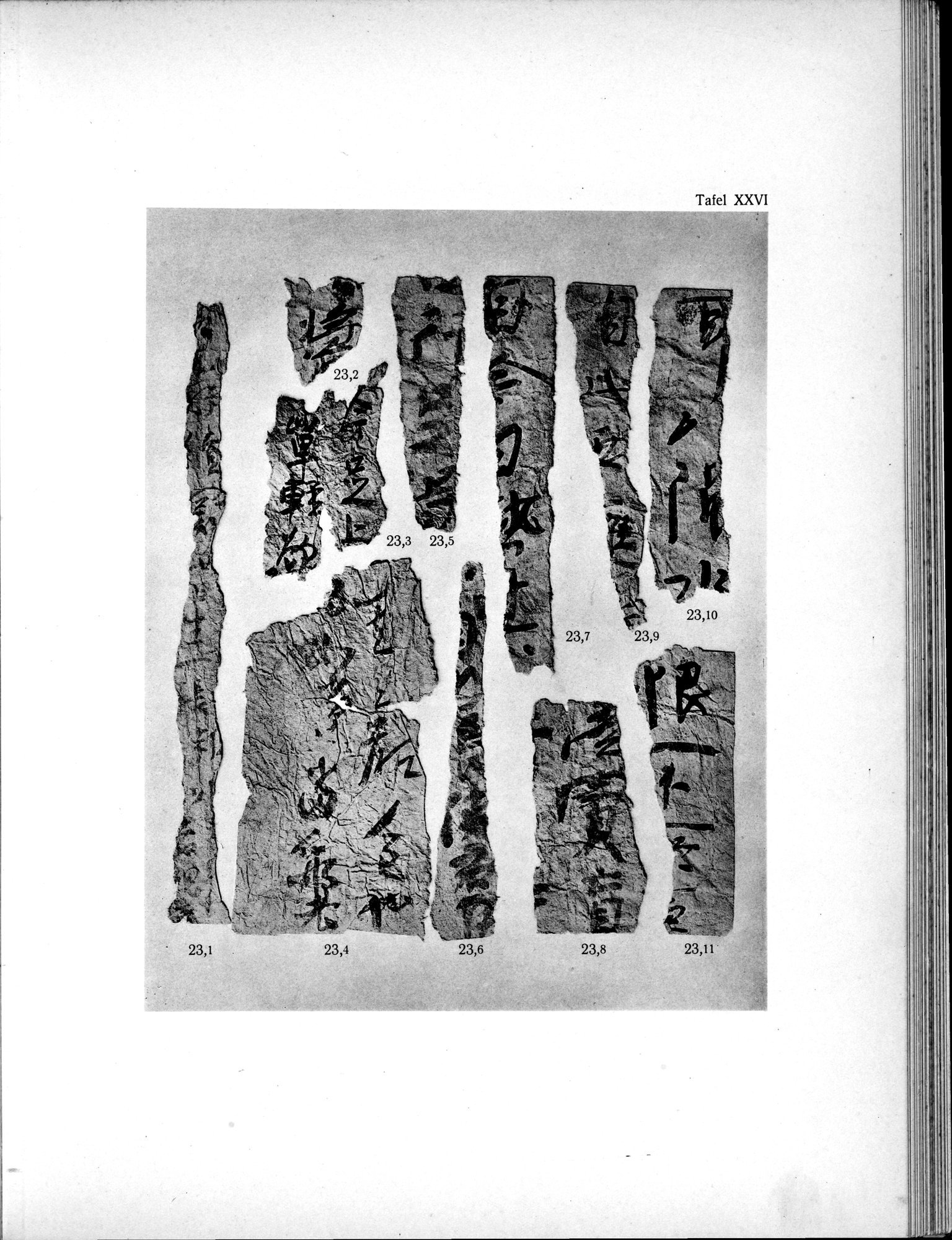 Die Chinesischen Handschriften- und sonstigen Kleinfunde Sven Hedins in Lou-lan : vol.1 / 269 ページ（白黒高解像度画像）