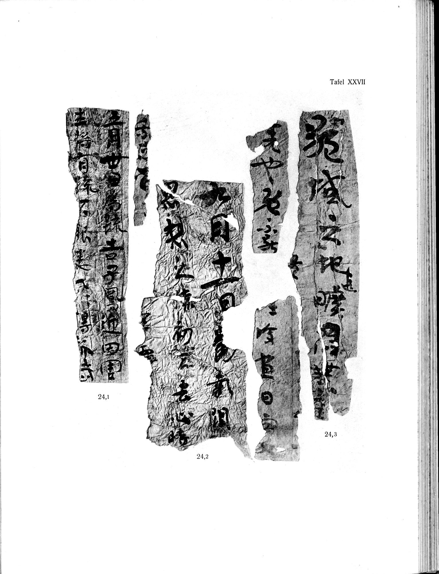Die Chinesischen Handschriften- und sonstigen Kleinfunde Sven Hedins in Lou-lan : vol.1 / 271 ページ（白黒高解像度画像）