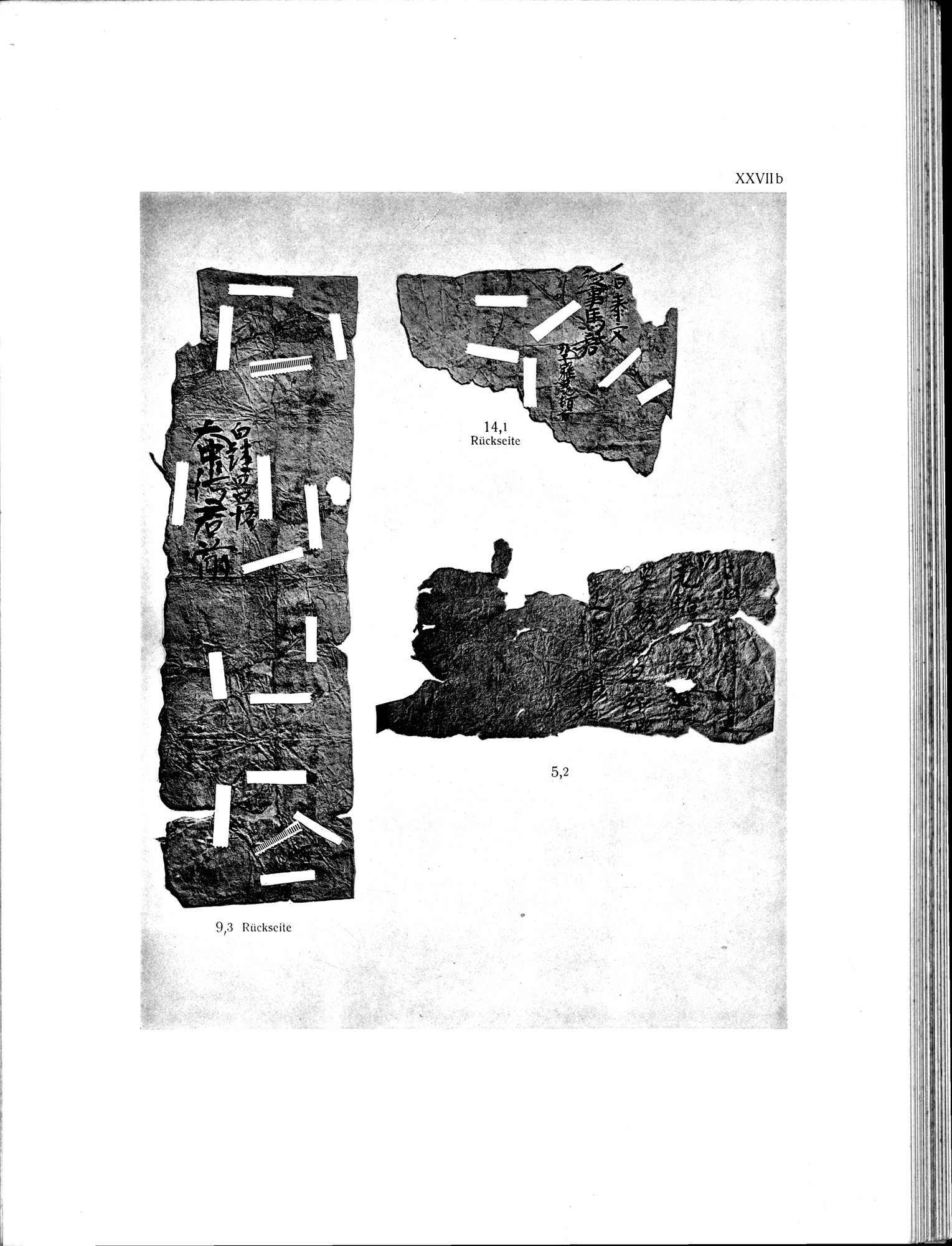 Die Chinesischen Handschriften- und sonstigen Kleinfunde Sven Hedins in Lou-lan : vol.1 / 273 ページ（白黒高解像度画像）