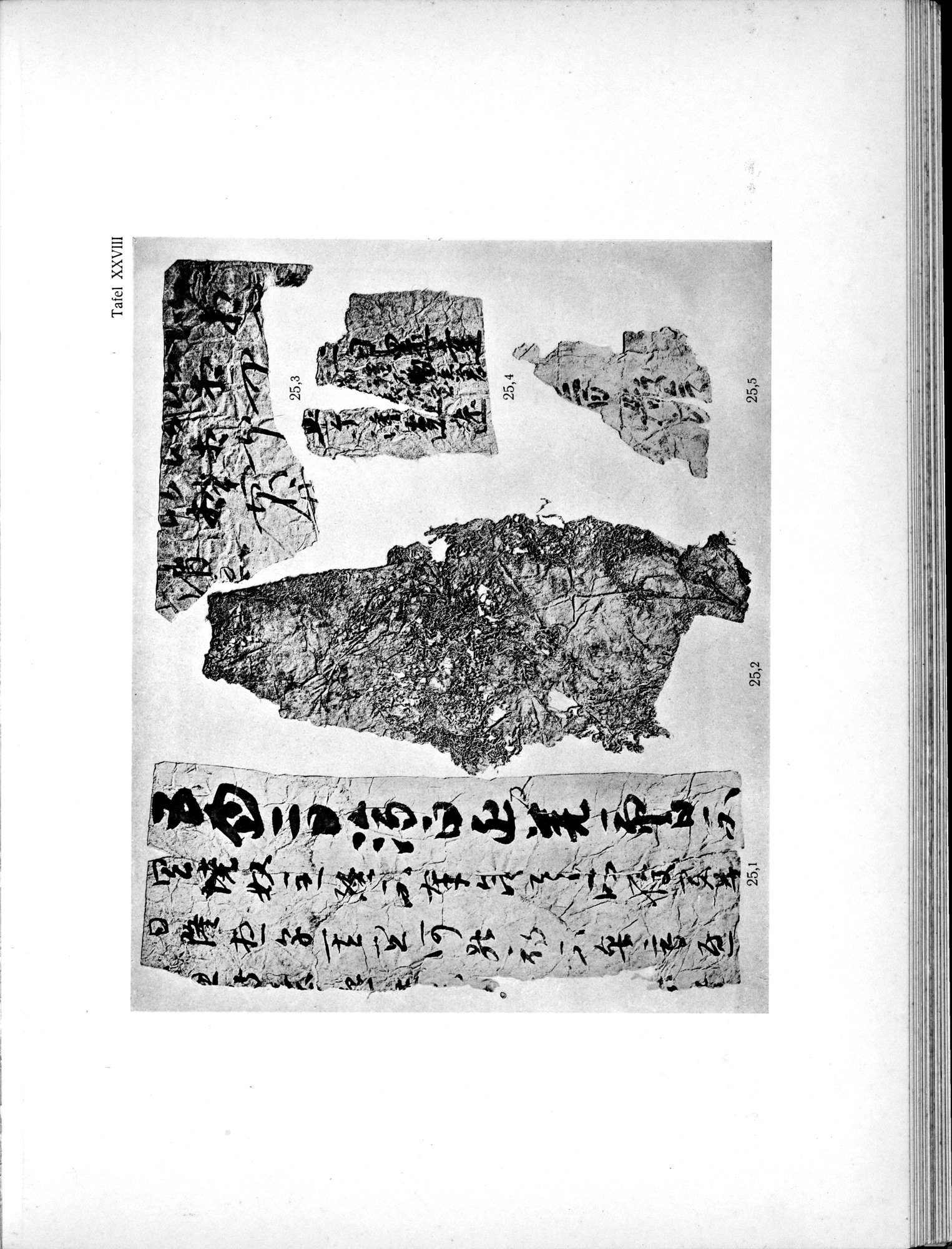 Die Chinesischen Handschriften- und sonstigen Kleinfunde Sven Hedins in Lou-lan : vol.1 / 275 ページ（白黒高解像度画像）