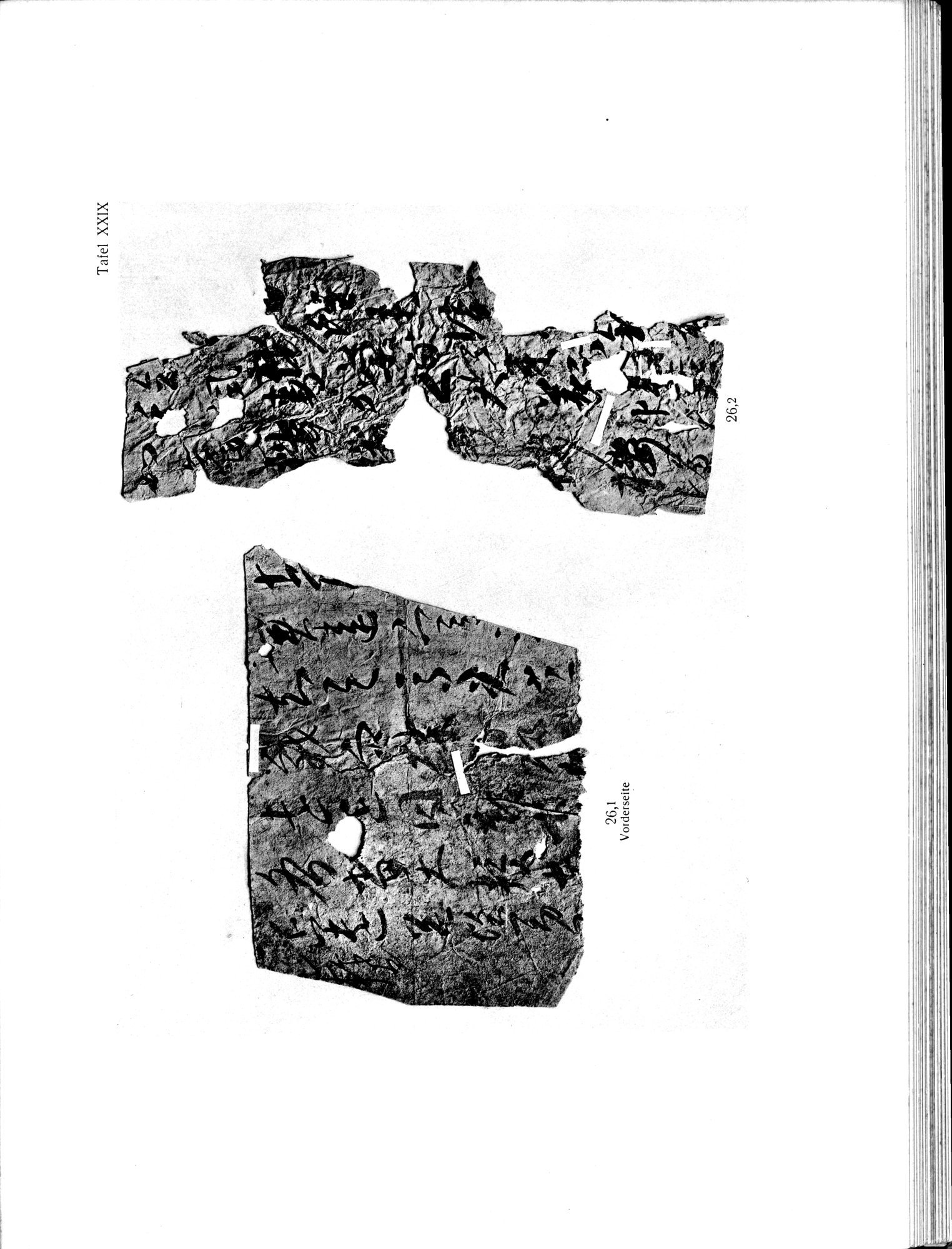 Die Chinesischen Handschriften- und sonstigen Kleinfunde Sven Hedins in Lou-lan : vol.1 / 277 ページ（白黒高解像度画像）