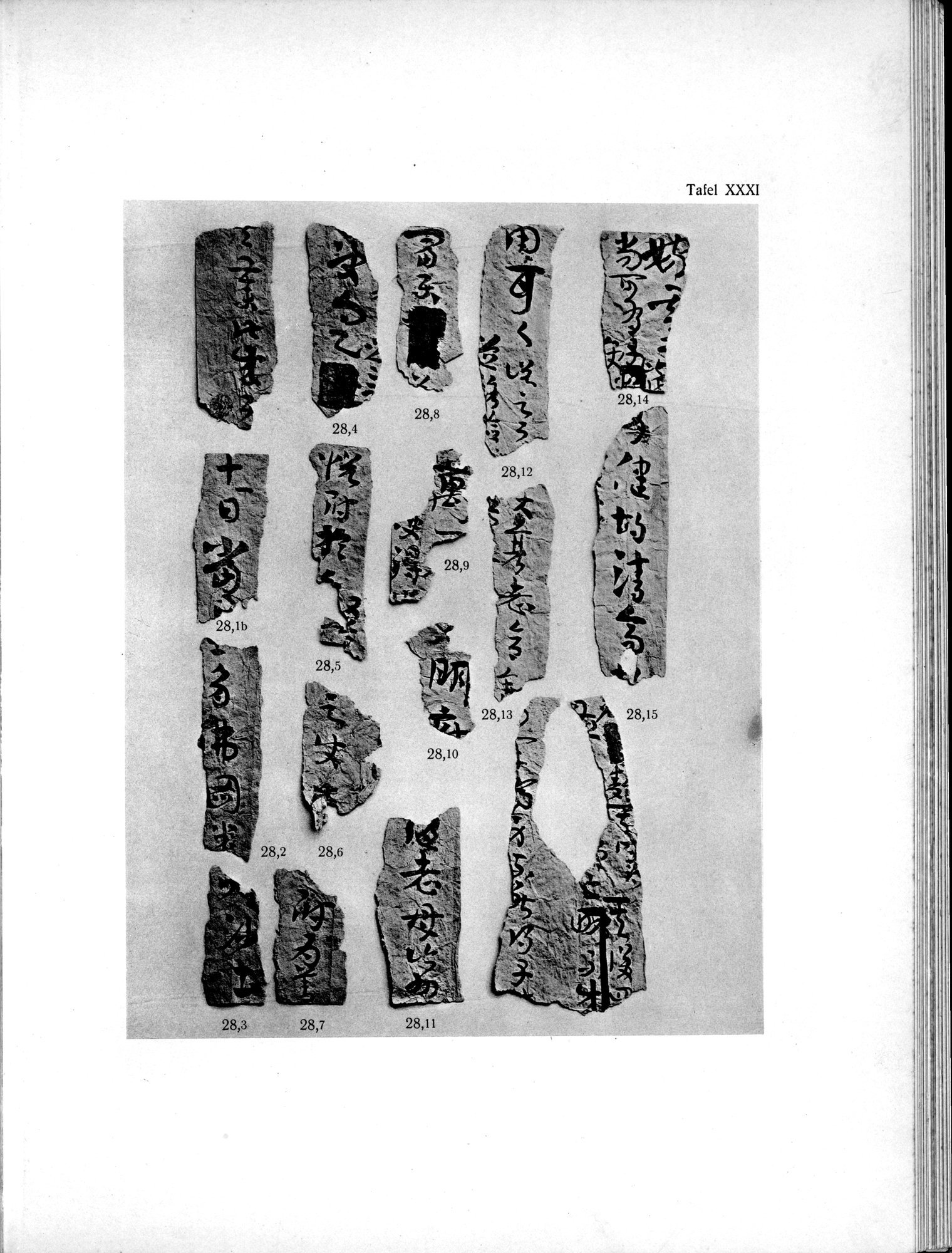 Die Chinesischen Handschriften- und sonstigen Kleinfunde Sven Hedins in Lou-lan : vol.1 / 281 ページ（白黒高解像度画像）