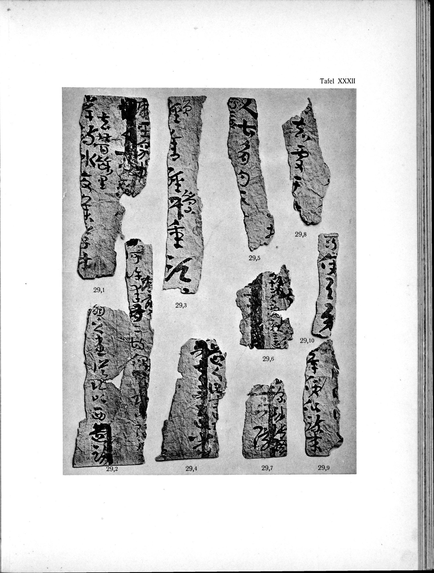 Die Chinesischen Handschriften- und sonstigen Kleinfunde Sven Hedins in Lou-lan : vol.1 / Page 283 (Grayscale High Resolution Image)