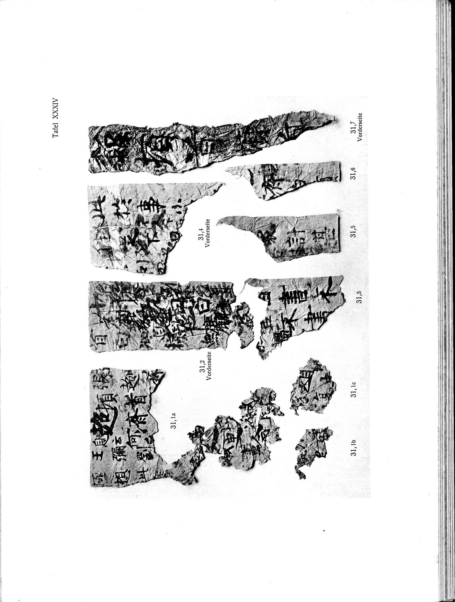 Die Chinesischen Handschriften- und sonstigen Kleinfunde Sven Hedins in Lou-lan : vol.1 / 287 ページ（白黒高解像度画像）