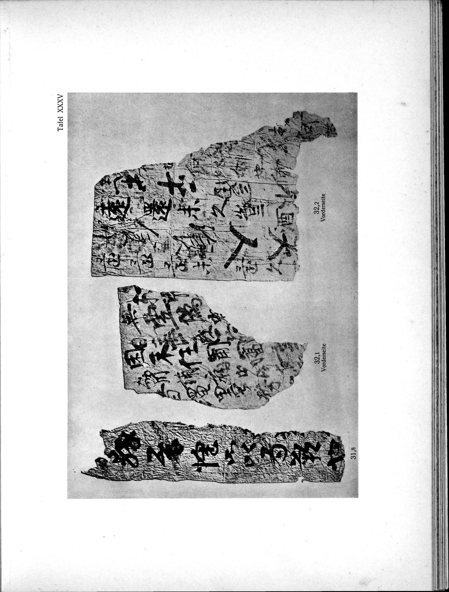 Die Chinesischen Handschriften- und sonstigen Kleinfunde Sven Hedins in Lou-lan : vol.1 / Page 289 (Grayscale High Resolution Image)